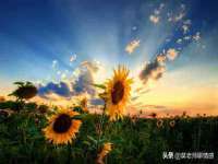 南京梦兴房产经纪有限公司