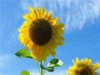 南京梦兴房产经纪有限公司