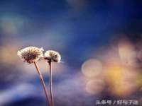 南京梦兴房产经纪有限公司