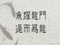 南京梦兴房产经纪有限公司