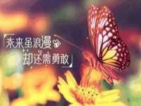 南京梦兴房产经纪有限公司