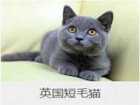 南京梦兴房产经纪有限公司