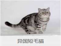 南京梦兴房产经纪有限公司