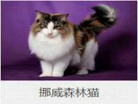 南京梦兴房产经纪有限公司
