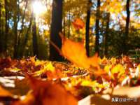 南京梦兴房产经纪有限公司