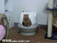 南京梦兴房产经纪有限公司
