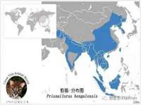 南京梦兴房产经纪有限公司