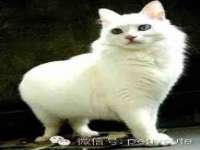 南京梦兴房产经纪有限公司