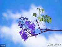 南京梦兴房产经纪有限公司