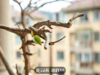 南京梦兴房产经纪有限公司