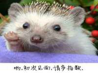 南京梦兴房产经纪有限公司