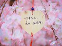 南京梦兴房产经纪有限公司