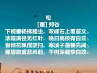 南京梦兴房产经纪有限公司