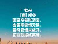 南京梦兴房产经纪有限公司