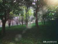 南京梦兴房产经纪有限公司