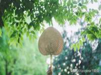 南京梦兴房产经纪有限公司