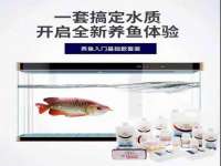 南京梦兴房产经纪有限公司
