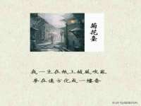 南京梦兴房产经纪有限公司