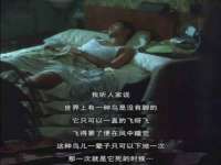 南京梦兴房产经纪有限公司