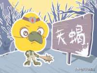 南京梦兴房产经纪有限公司