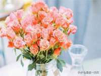南京梦兴房产经纪有限公司