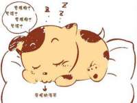南京梦兴房产经纪有限公司