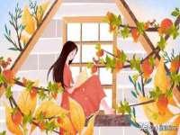 南京梦兴房产经纪有限公司
