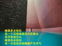 南京梦兴房产经纪有限公司