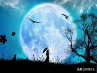 南京梦兴房产经纪有限公司