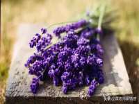南京梦兴房产经纪有限公司