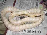 南京梦兴房产经纪有限公司