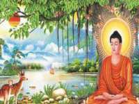 南京梦兴房产经纪有限公司