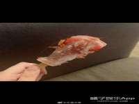 南京梦兴房产经纪有限公司